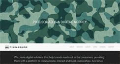 Desktop Screenshot of pixelsquad.com.sg